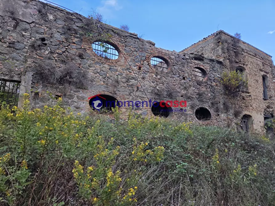 Immagine 8 di Terreno in vendita  a Seminara