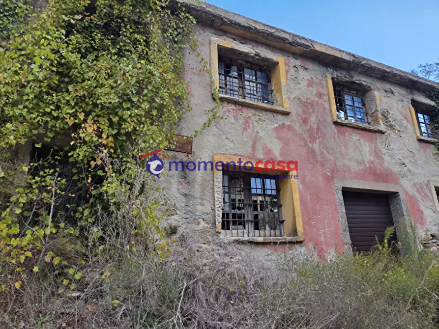 Immagine 9 di Terreno in vendita  a Seminara