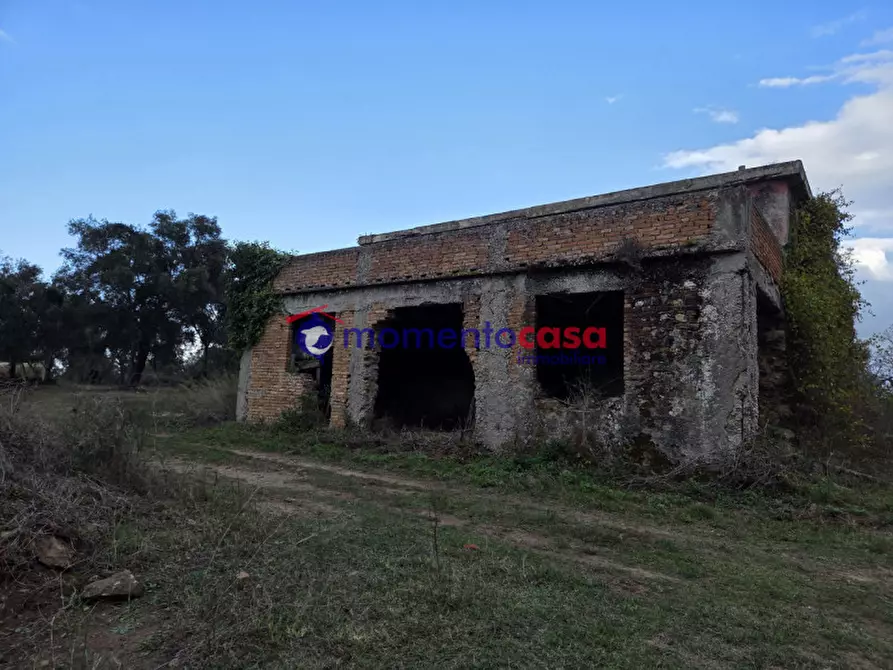 Immagine 11 di Terreno in vendita  a Seminara