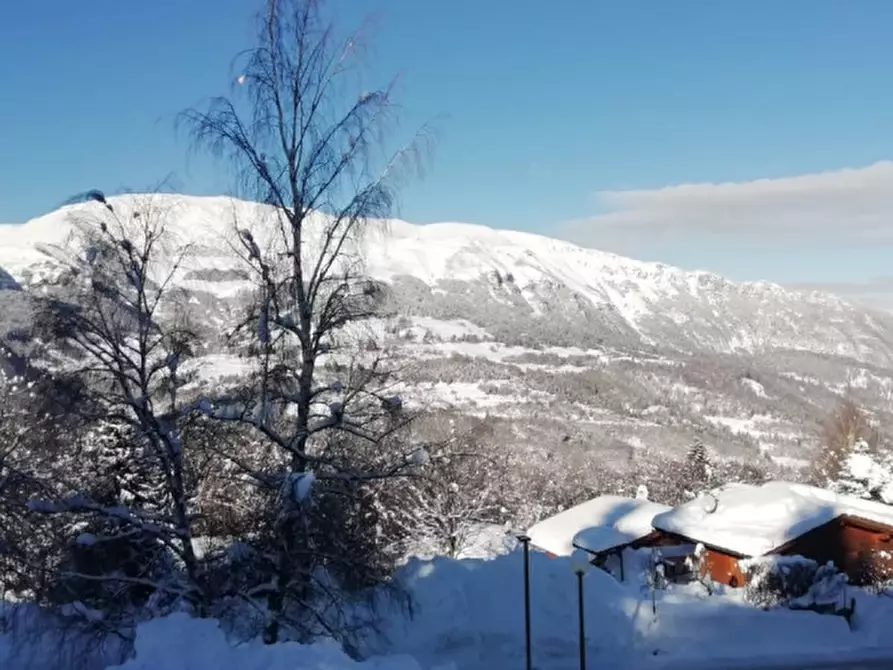 Immagine 7 di Appartamento in vendita  in Via del bosco a Brentonico