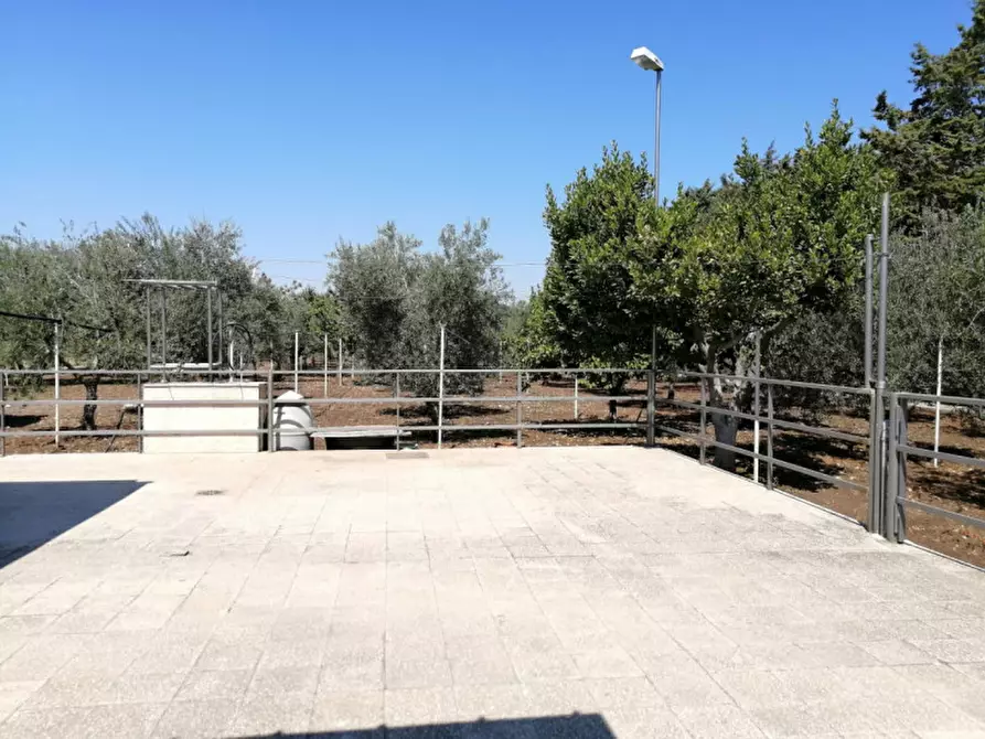 Immagine 4 di Villa in vendita  a Andria