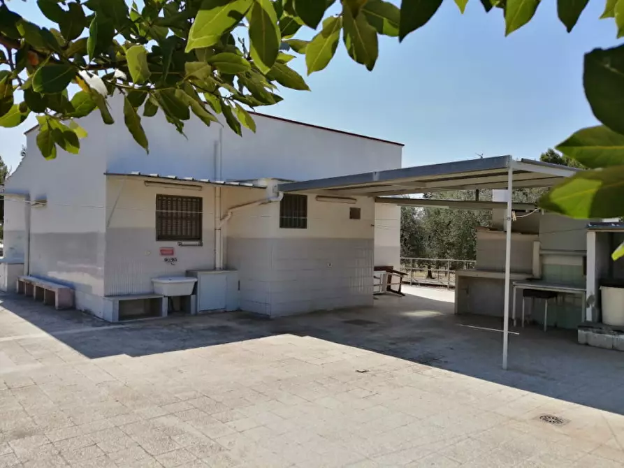 Immagine 10 di Villa in vendita  a Andria