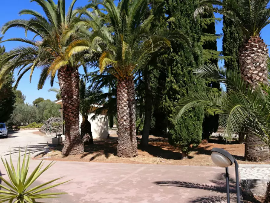 Immagine 2 di Villa in vendita  a Andria