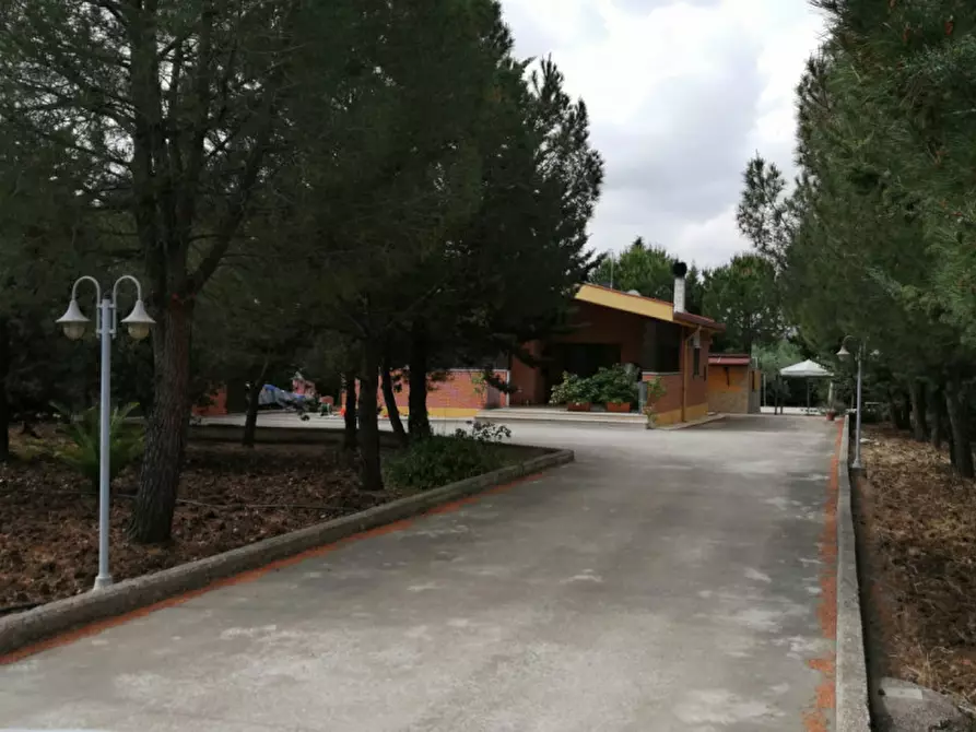 Immagine 1 di Villa in vendita  a Andria