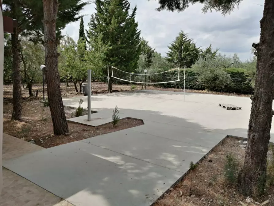 Immagine 5 di Villa in vendita  a Andria