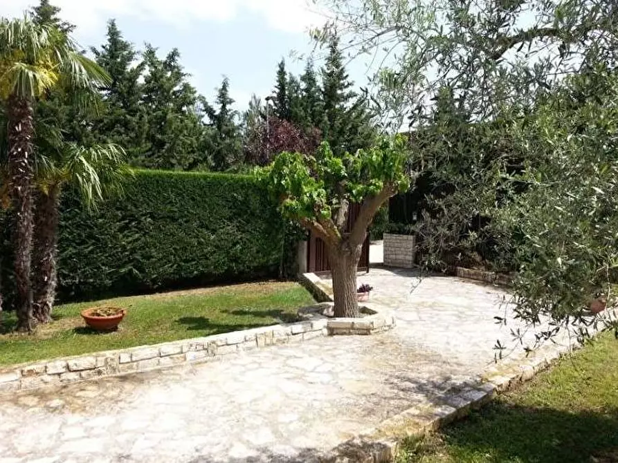 Immagine 1 di Villa in vendita  in sp 38 andria a Andria