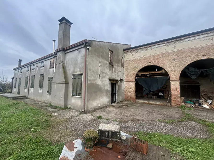 Immagine 3 di Rustico / casale in vendita  in Via Reolda a Veggiano