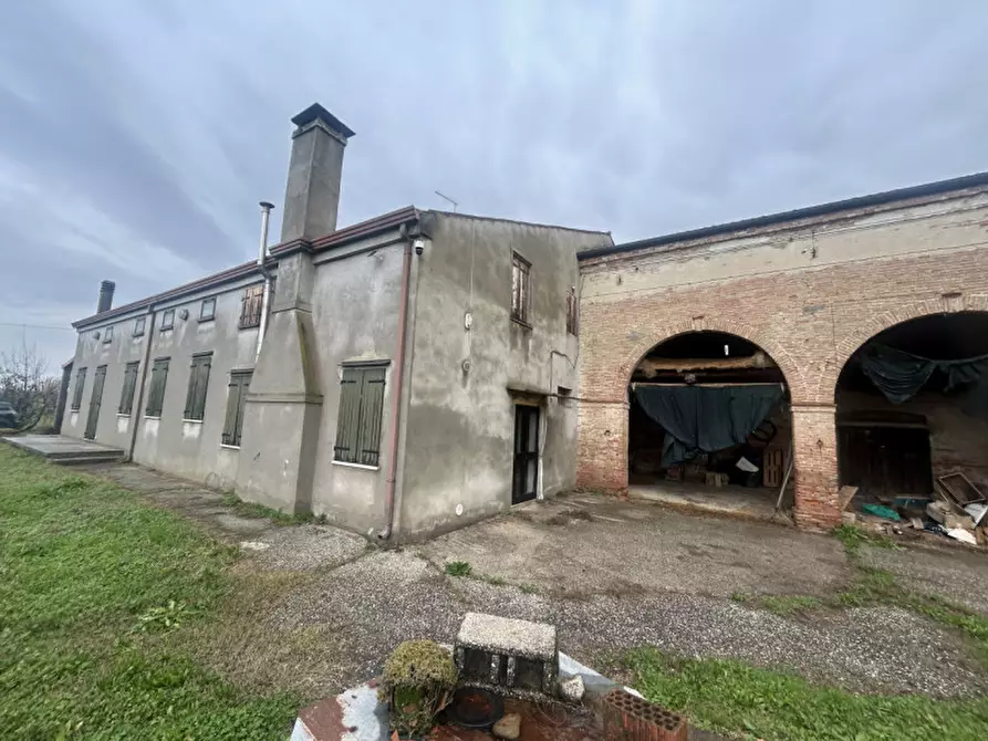 Immagine 4 di Rustico / casale in vendita  in Via Reolda a Veggiano