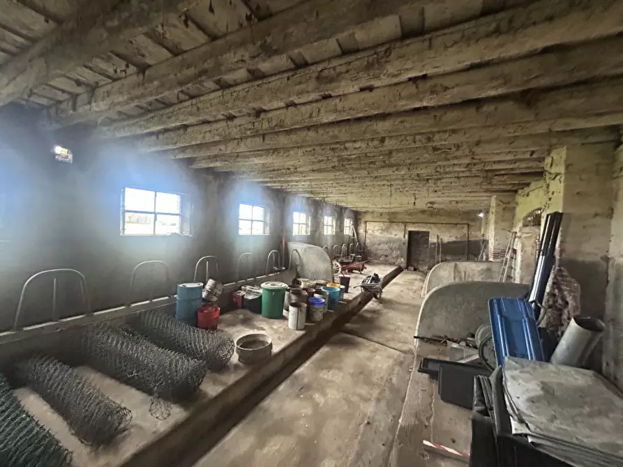 Immagine 19 di Rustico / casale in vendita  in Via Reolda a Veggiano