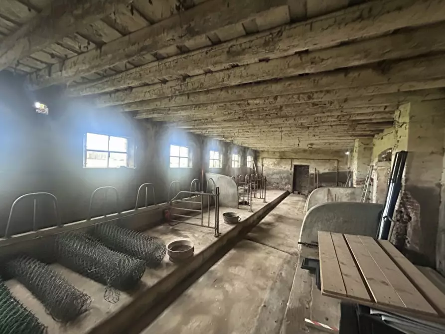 Immagine 19 di Rustico / casale in vendita  in Via Reolda a Veggiano