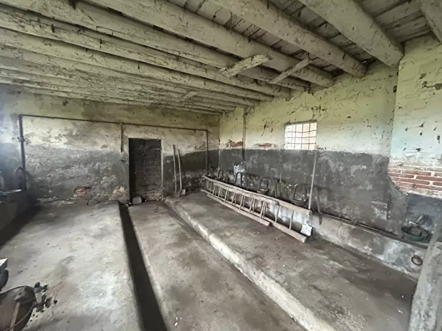 Immagine 20 di Rustico / casale in vendita  in Via Reolda a Veggiano