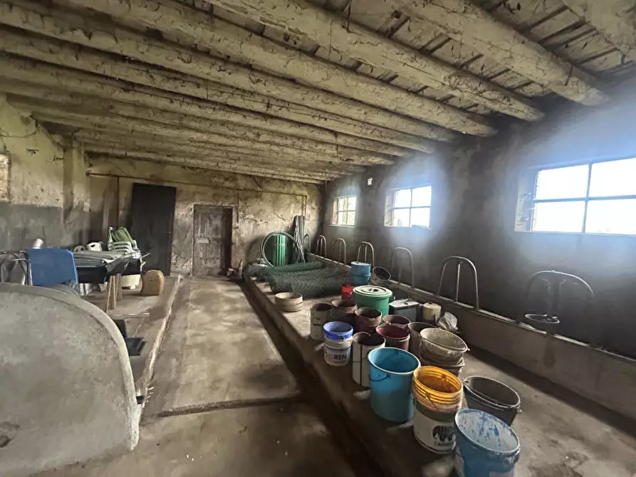 Immagine 21 di Rustico / casale in vendita  in Via Reolda a Veggiano