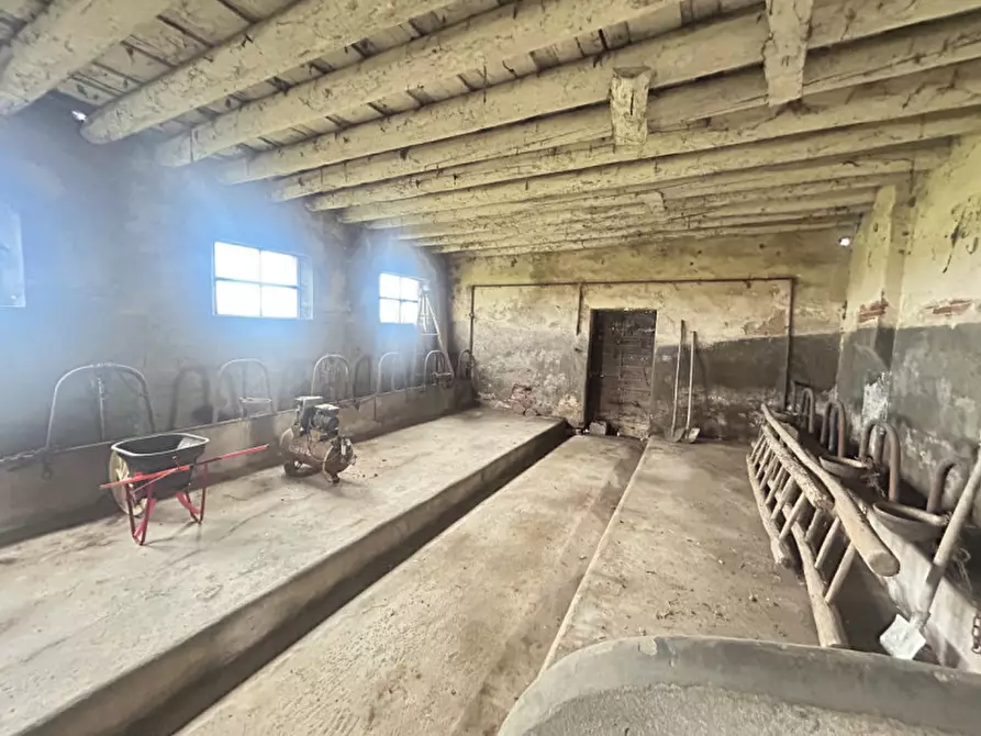 Immagine 22 di Rustico / casale in vendita  in Via Reolda a Veggiano