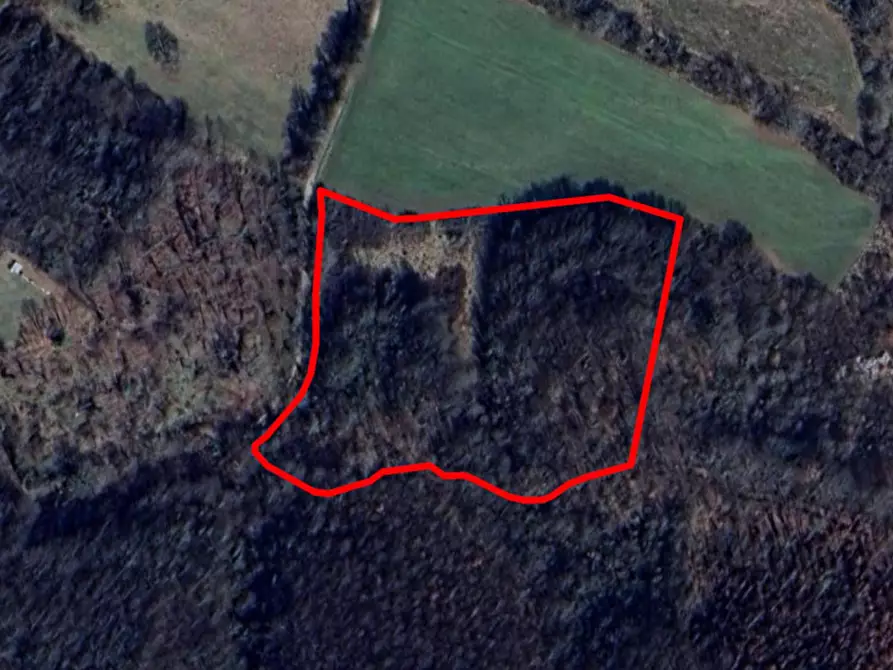 Immagine 1 di Terreno in vendita  in Localtia Collespina, 02010 Colli sul Velino RI, Italia a Colli Sul Velino