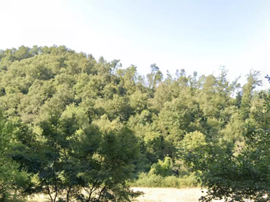 Immagine 3 di Terreno in vendita  in Localtia Collespina, 02010 Colli sul Velino RI, Italia a Colli Sul Velino