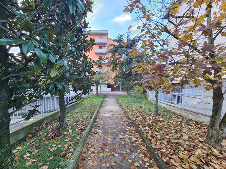 Immagine 3 di Appartamento in vendita  in Via Tito Speri a Modena