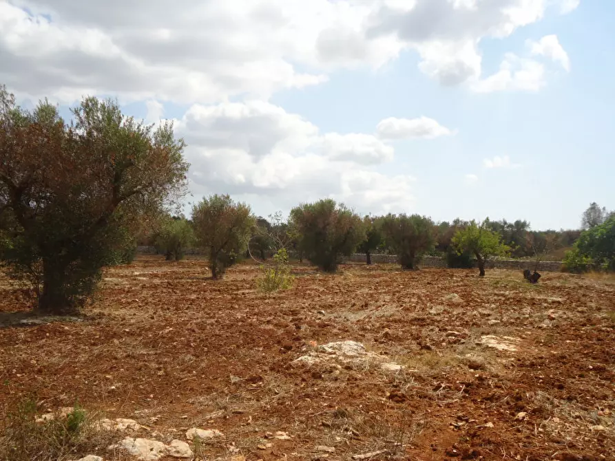 Immagine 10 di Rustico / casale in vendita  in SP 174 a Casarano