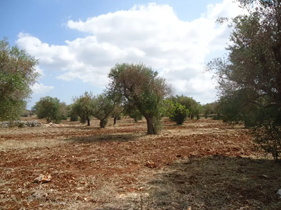 Immagine 12 di Rustico / casale in vendita  in SP 174 a Casarano