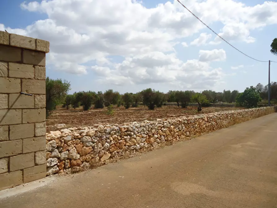 Immagine 14 di Rustico / casale in vendita  in SP 174 a Casarano