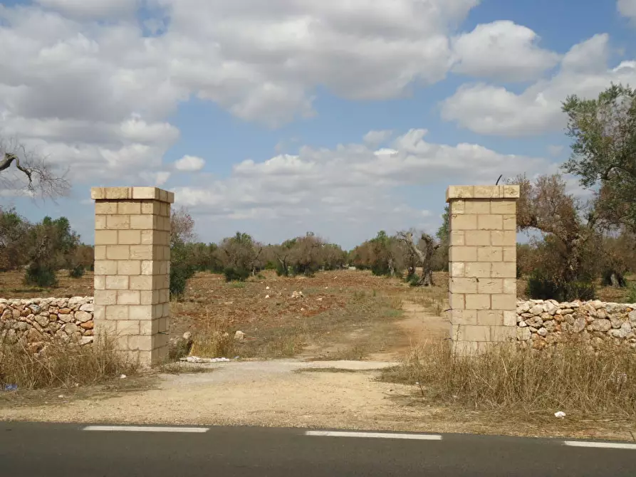 Immagine 15 di Rustico / casale in vendita  in SP 174 a Casarano