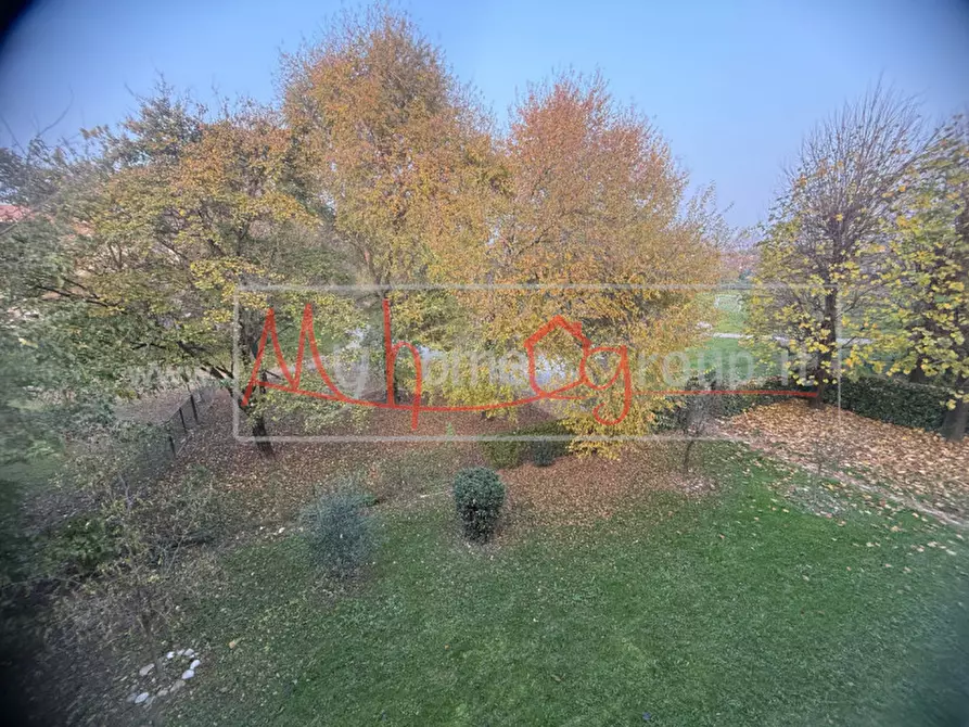 Immagine 24 di Camera in affitto  in Via Don Lorenzo Milani a Albignasego