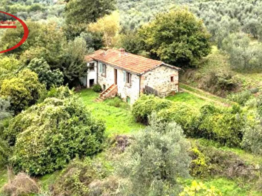 Immagine 3 di Casa indipendente in vendita  in macie a Cavriglia