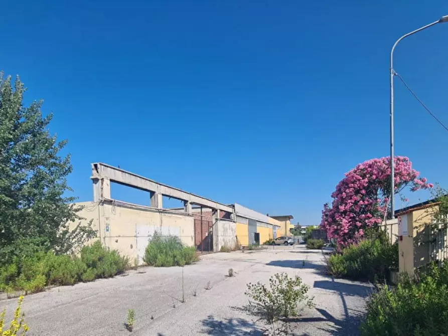 Immagine 1 di Capannone industriale in vendita  in Via degli Armatori, 55041 Le Bocchette LU, Italia a Camaiore