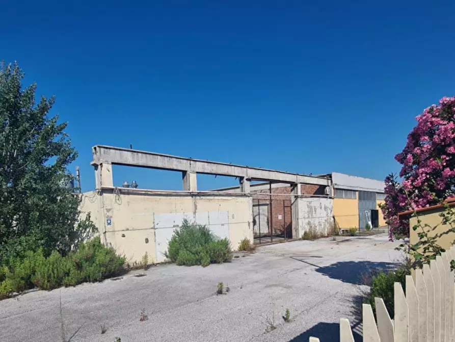 Immagine 4 di Capannone industriale in vendita  in Via degli Armatori, 55041 Le Bocchette LU, Italia a Camaiore