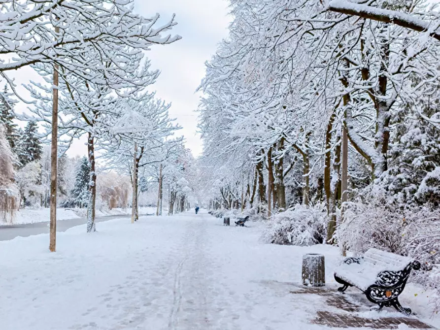 Immagine 3 di Appartamento in vendita  in Via Mazzini a Verona