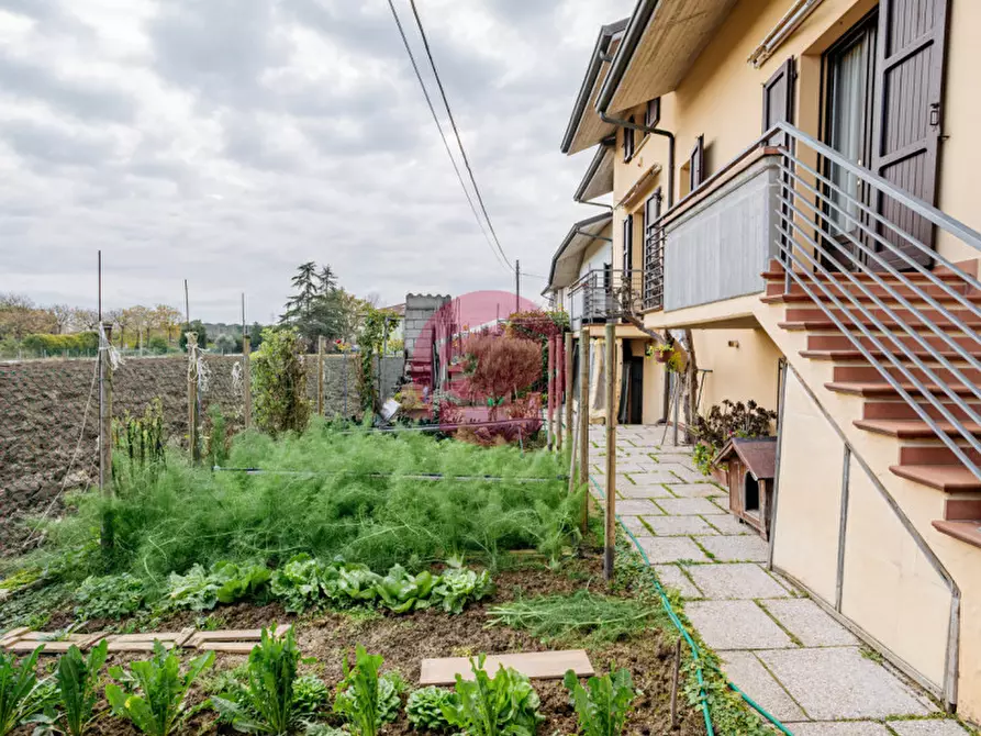 Immagine 5 di Villa in vendita  a Savignano Sul Rubicone