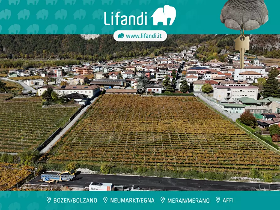 Immagine 1 di Terreno in vendita  a Roverè Della Luna