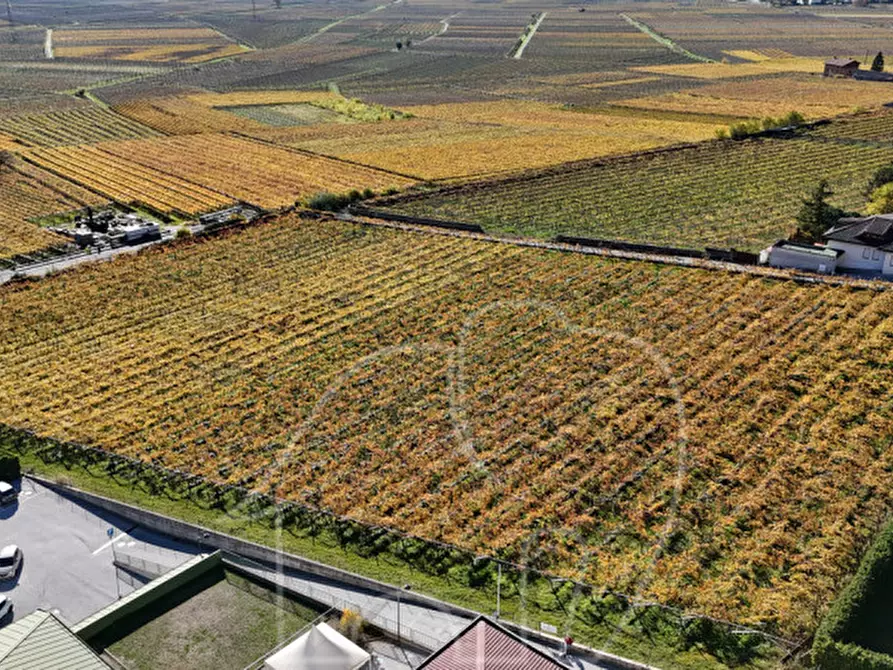 Immagine 2 di Terreno in vendita  a Roverè Della Luna