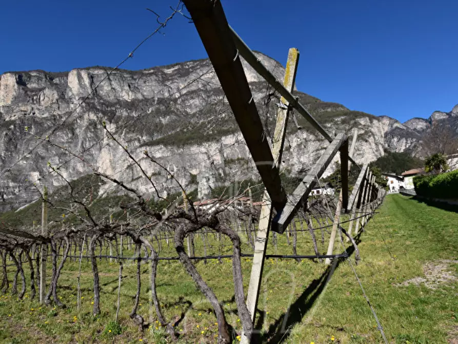 Immagine 5 di Terreno in vendita  a Roverè Della Luna
