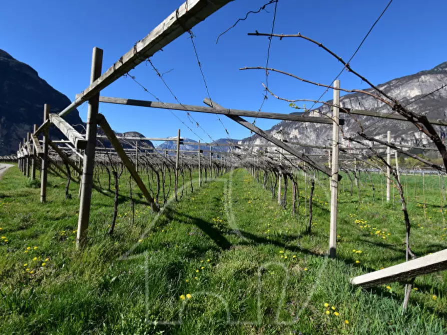 Immagine 8 di Terreno in vendita  a Roverè Della Luna
