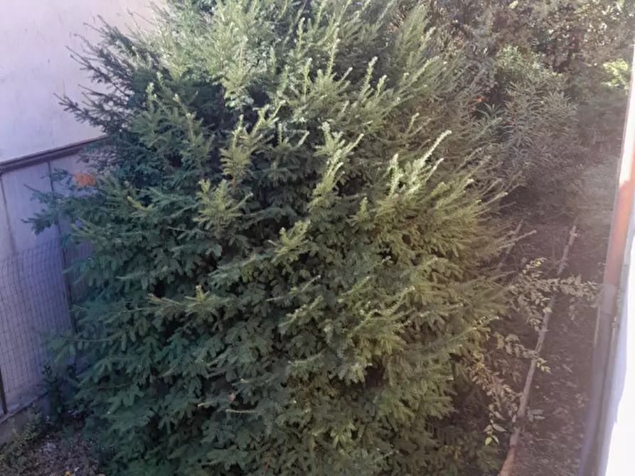 Immagine 39 di Casa indipendente in vendita  in Via Giuseppe Roi n. 3 a Montegalda