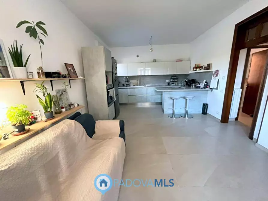 Immagine 4 di Appartamento in vendita  in Via Padova a Albignasego