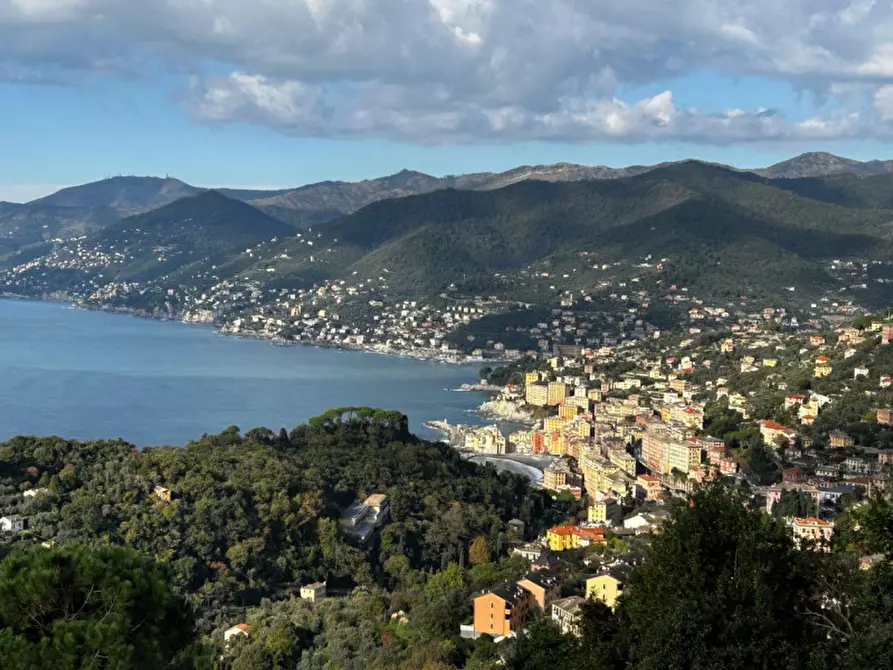 Immagine 2 di Appartamento in vendita  in Via Saccomanno a Camogli