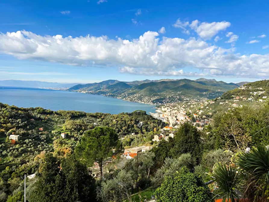Immagine 7 di Appartamento in vendita  in Via Saccomanno a Camogli