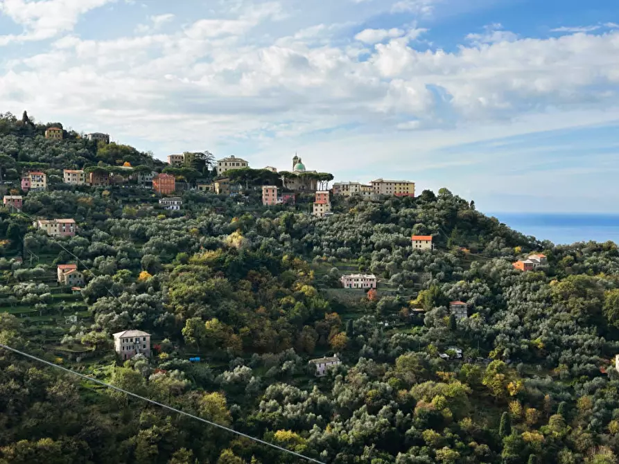 Immagine 21 di Appartamento in vendita  in Via Saccomanno a Camogli