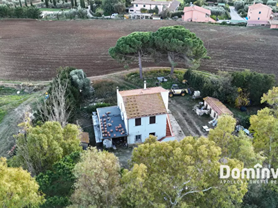 Immagine 3 di Rustico / casale in vendita  in Strada della Ficona a Capalbio