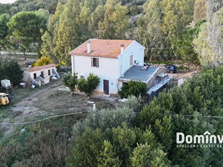 Immagine 6 di Rustico / casale in vendita  in Strada della Ficona a Capalbio