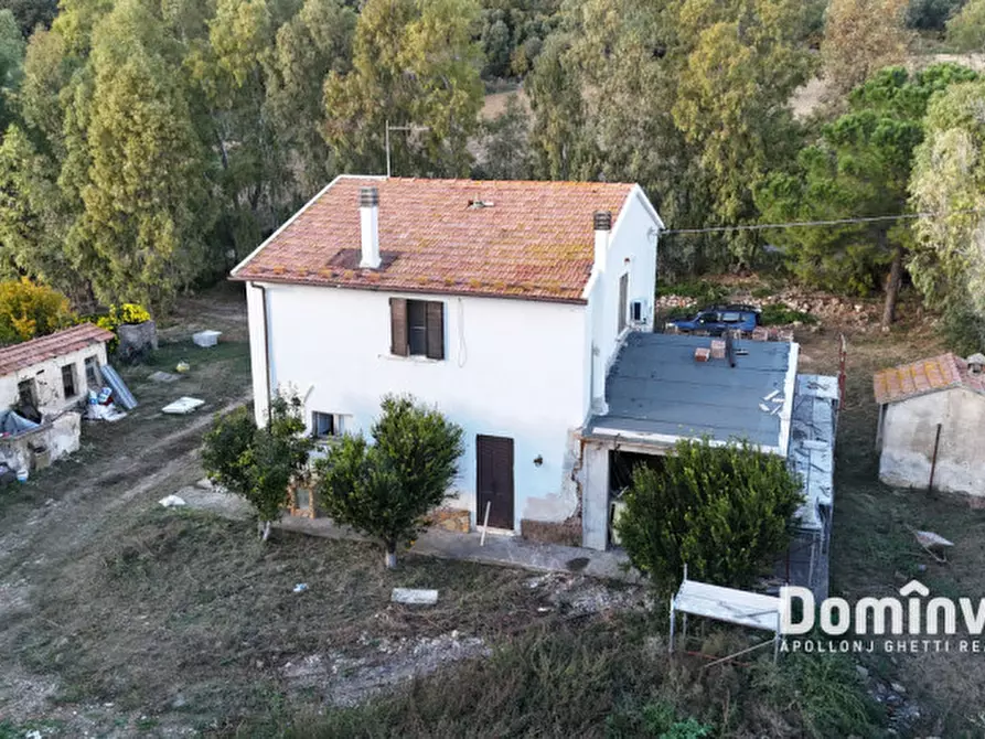 Immagine 7 di Rustico / casale in vendita  in Strada della Ficona a Capalbio