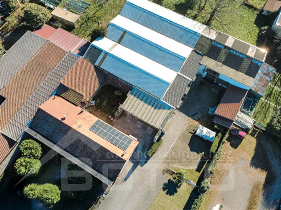 Immagine 3 di Villa in vendita  in Via Stazione 69 a Varallo Pombia