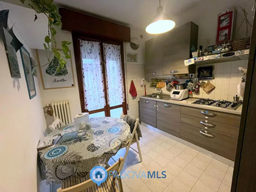 Immagine 5 di Appartamento in vendita  in Via Donato Bramante a Padova