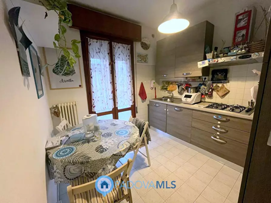 Immagine 6 di Appartamento in vendita  in Via Donato Bramante a Padova
