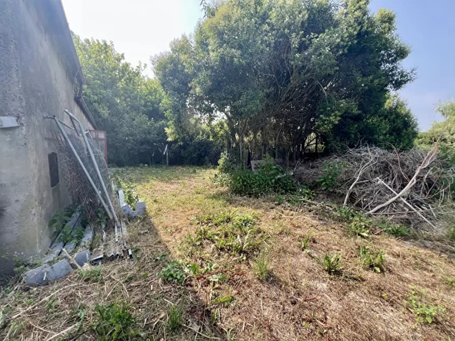 Immagine 30 di Casa indipendente in vendita  in via codalunga a Bevilacqua