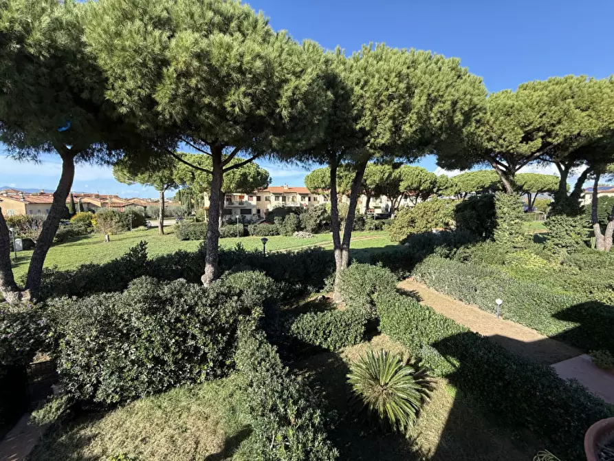 Immagine 14 di Villa in vendita  in Circonvallazione Enrico Berlinguer a Capalbio