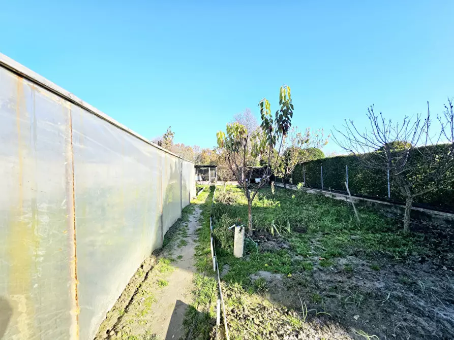 Immagine 14 di Casa indipendente in vendita  in VIA PERAROLO a Merlara