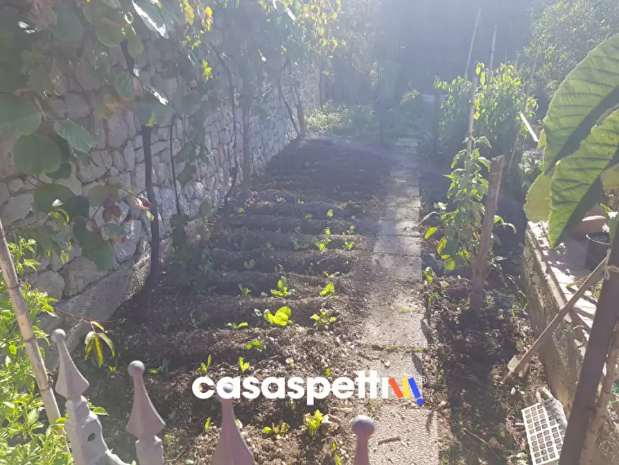 Immagine 4 di Casa indipendente in vendita  in Via Iardini a Sant'angelo A Fasanella