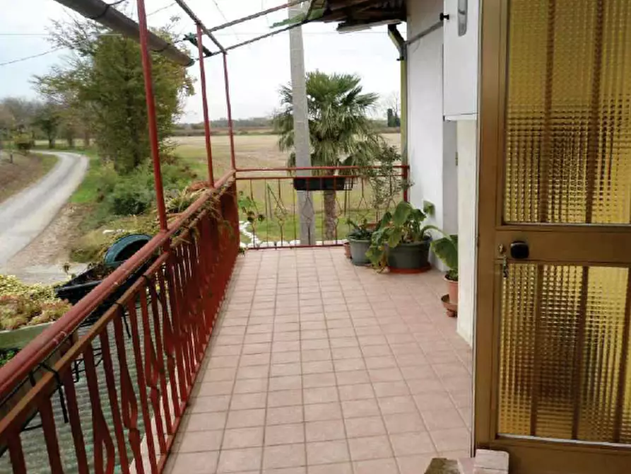 Immagine 4 di Casa indipendente in vendita  in Via Case Peruzzo, 13 a San Martino Al Tagliamento